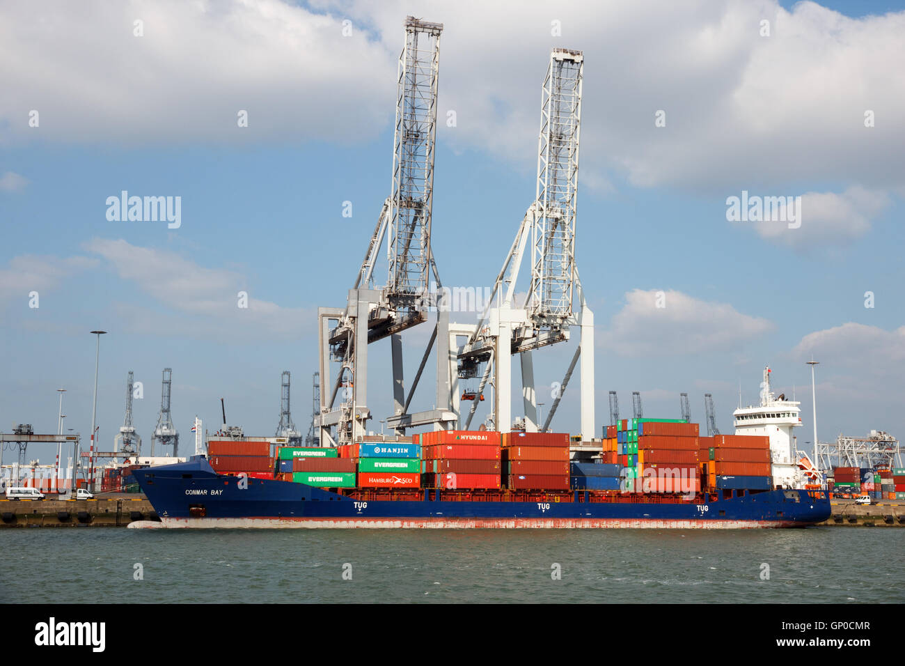 Porte-conteneurs Conmar Bay amarré à un terminal à conteneurs du port de Rotterdam. Banque D'Images Porte-conteneurs Conmar Bay amarré à un terminal à conteneurs du port de Rotterdam. Banque D'Images
