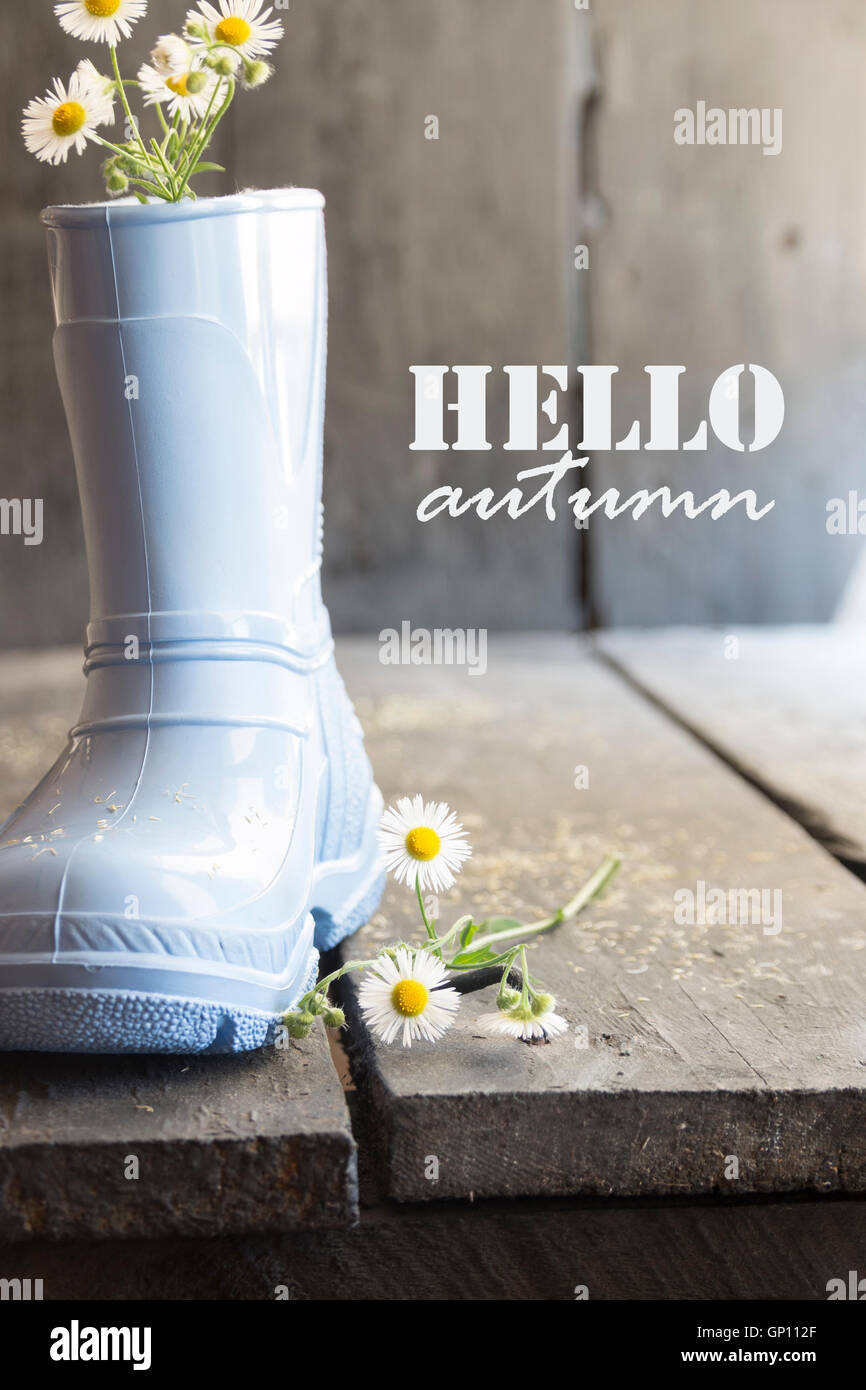 Bonjour automne citation inspirante, DAISY et des bottes. Banque D'Images
