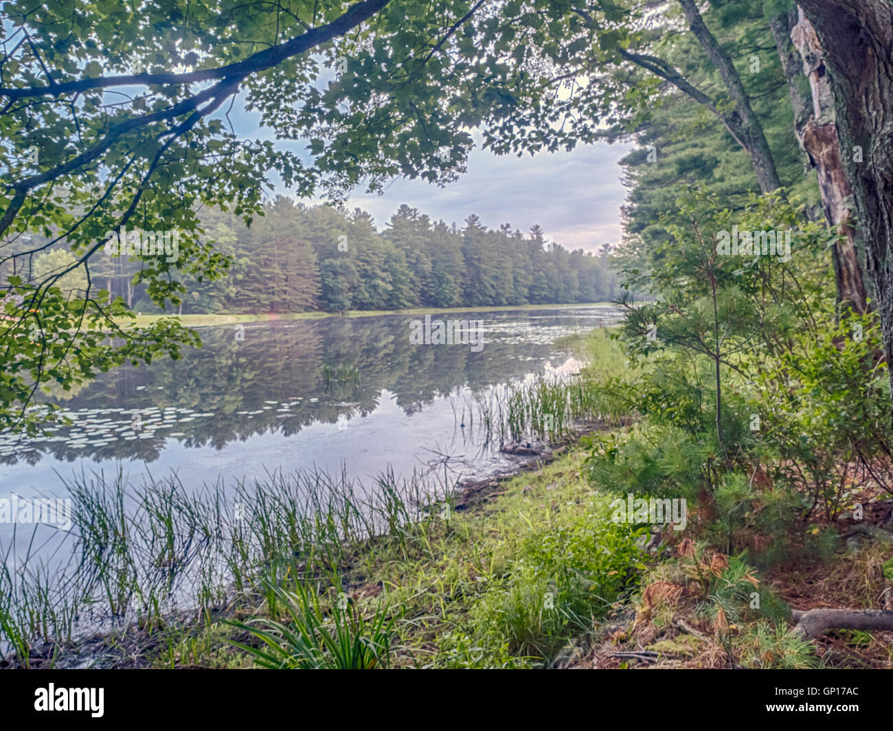 Silver Lake dans Sullivan comté des États-Unis situé dans l'état de New York Banque D'Images