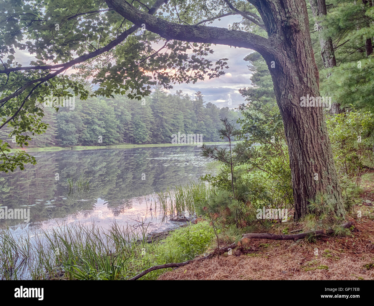 Silver Lake dans Sullivan comté des États-Unis situé dans l'état de New York Banque D'Images