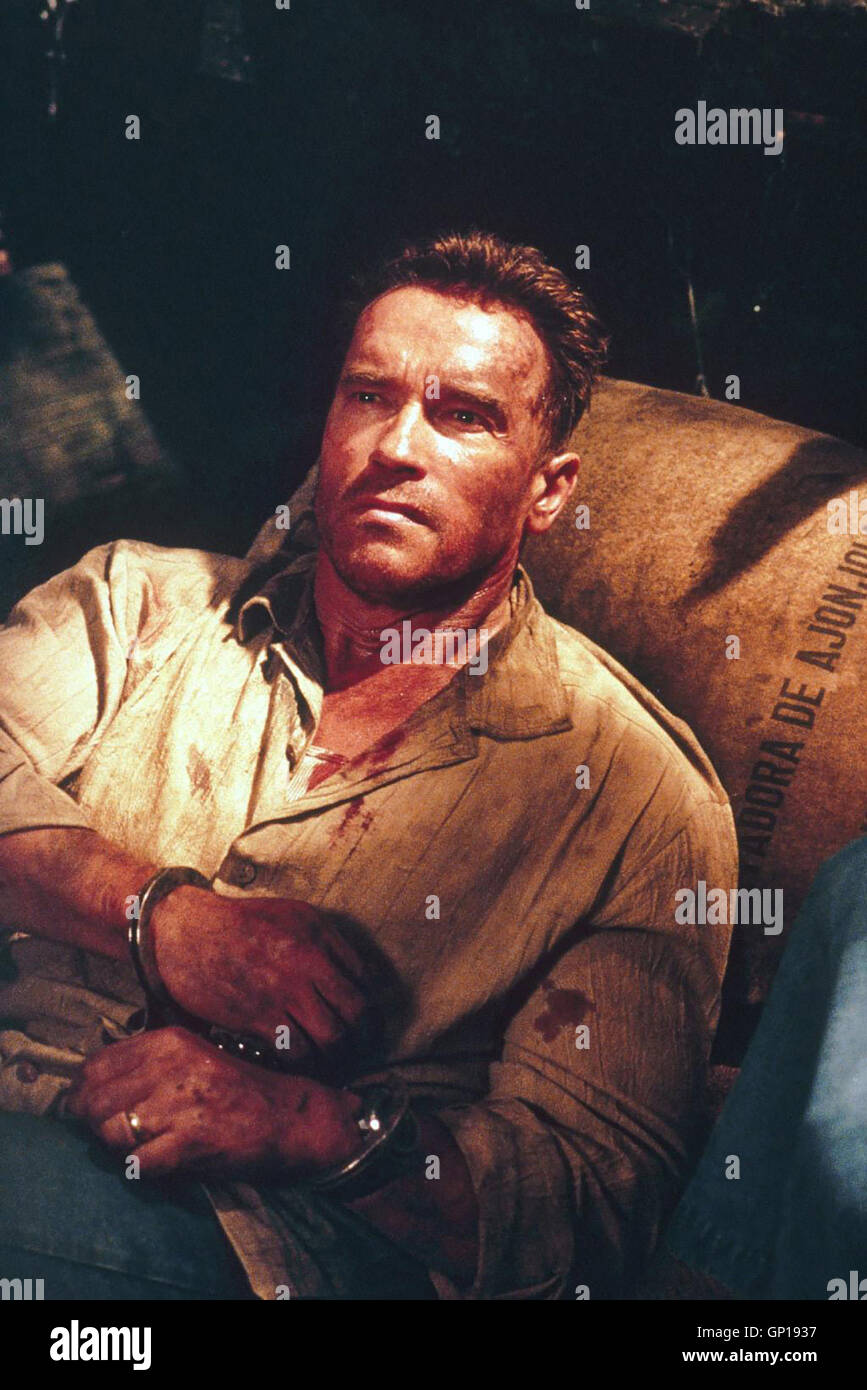 Arnold Schwarzenegger *** *** 2001 légende locale, les dommages collatéraux, les dommages collatéraux - Zeit der Vergeltung Banque D'Images