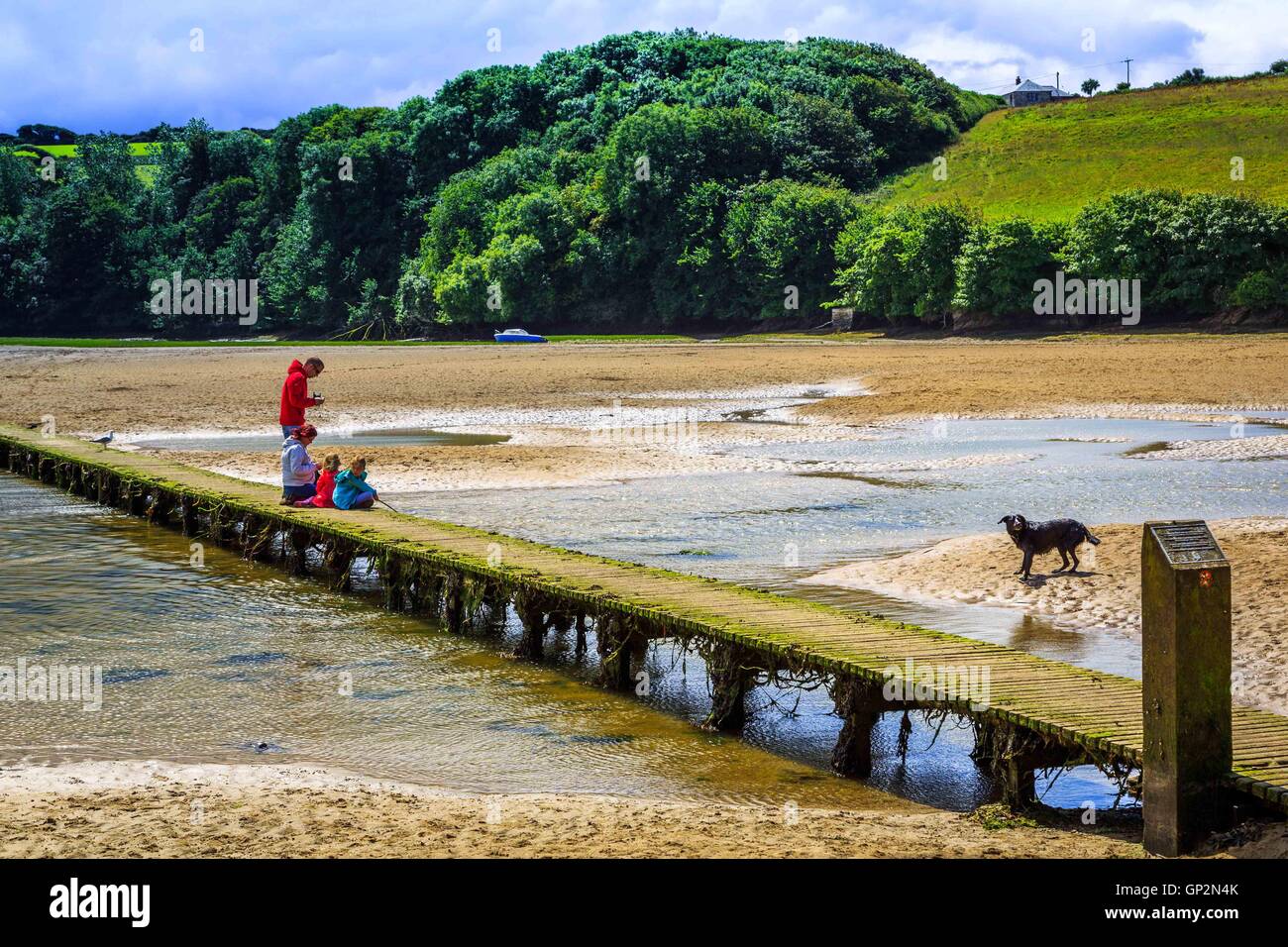 Un pont traversant une rivière à marée basse de l'estuaire à Cornwall. Banque D'Images