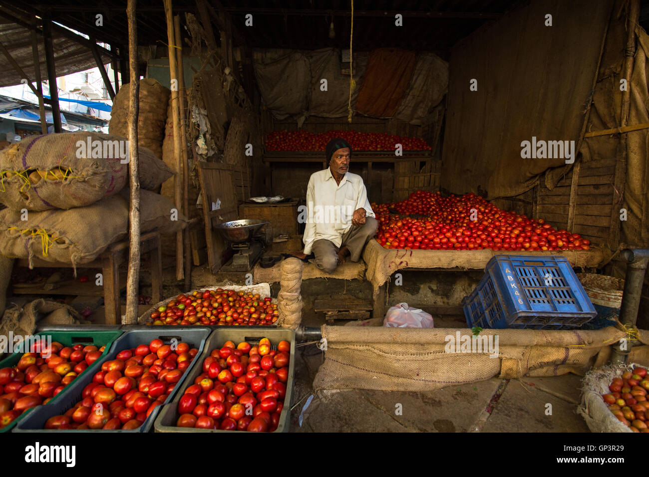 Une tomate en gros en selller devaraja market, Mysore, Karnataka Banque D'Images