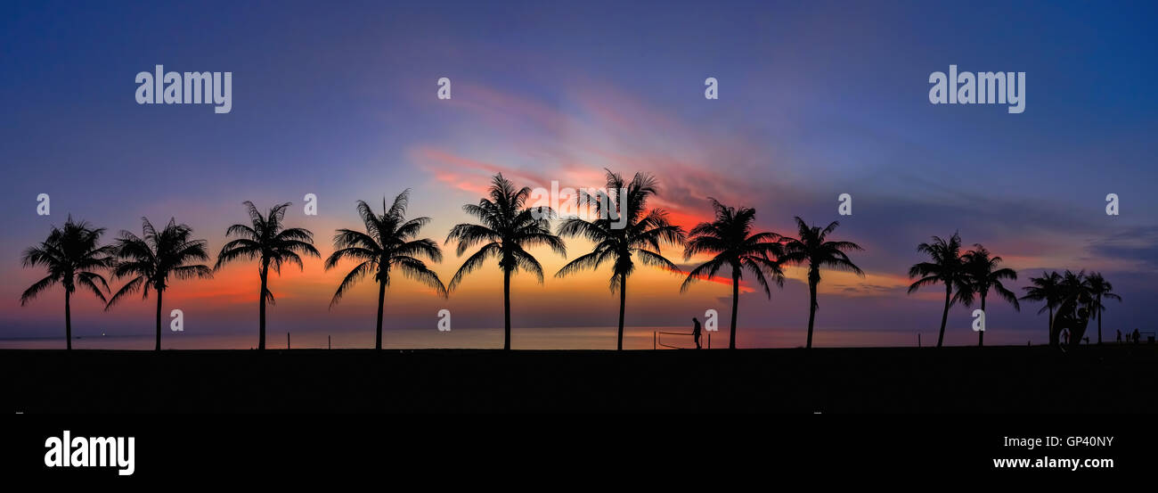 Ciel nuageux soleil colorés coconut tree silhouette panoramas. Banque D'Images