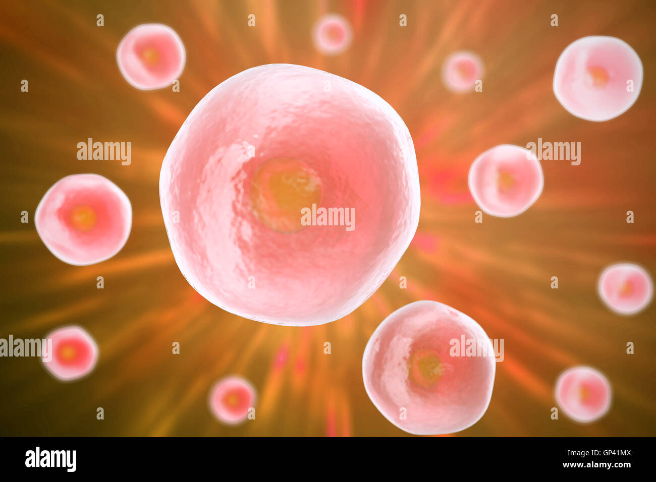 Cellule humaine, animale , la science historique. 3d illustration. Banque D'Images