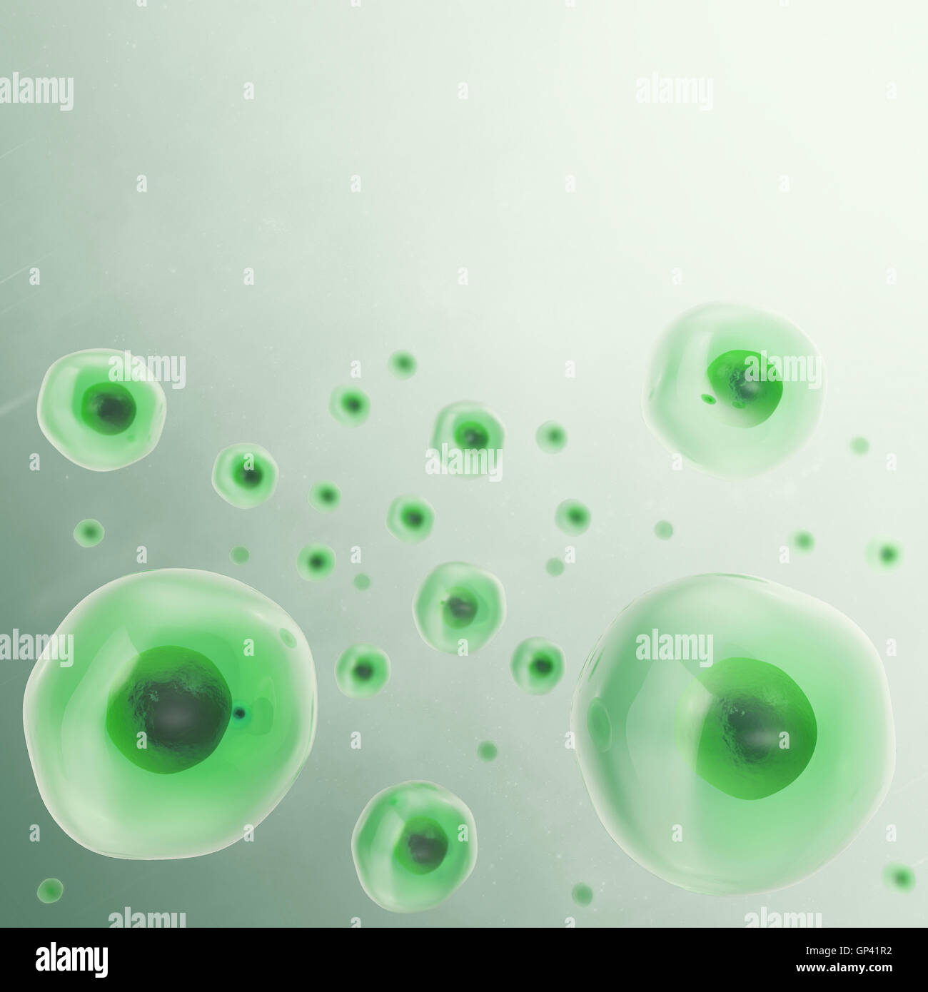 Arrière-plan de cellule verte. La vie et la biologie, la médecine, la recherche scientifique moléculaire. 3d illustration. Banque D'Images