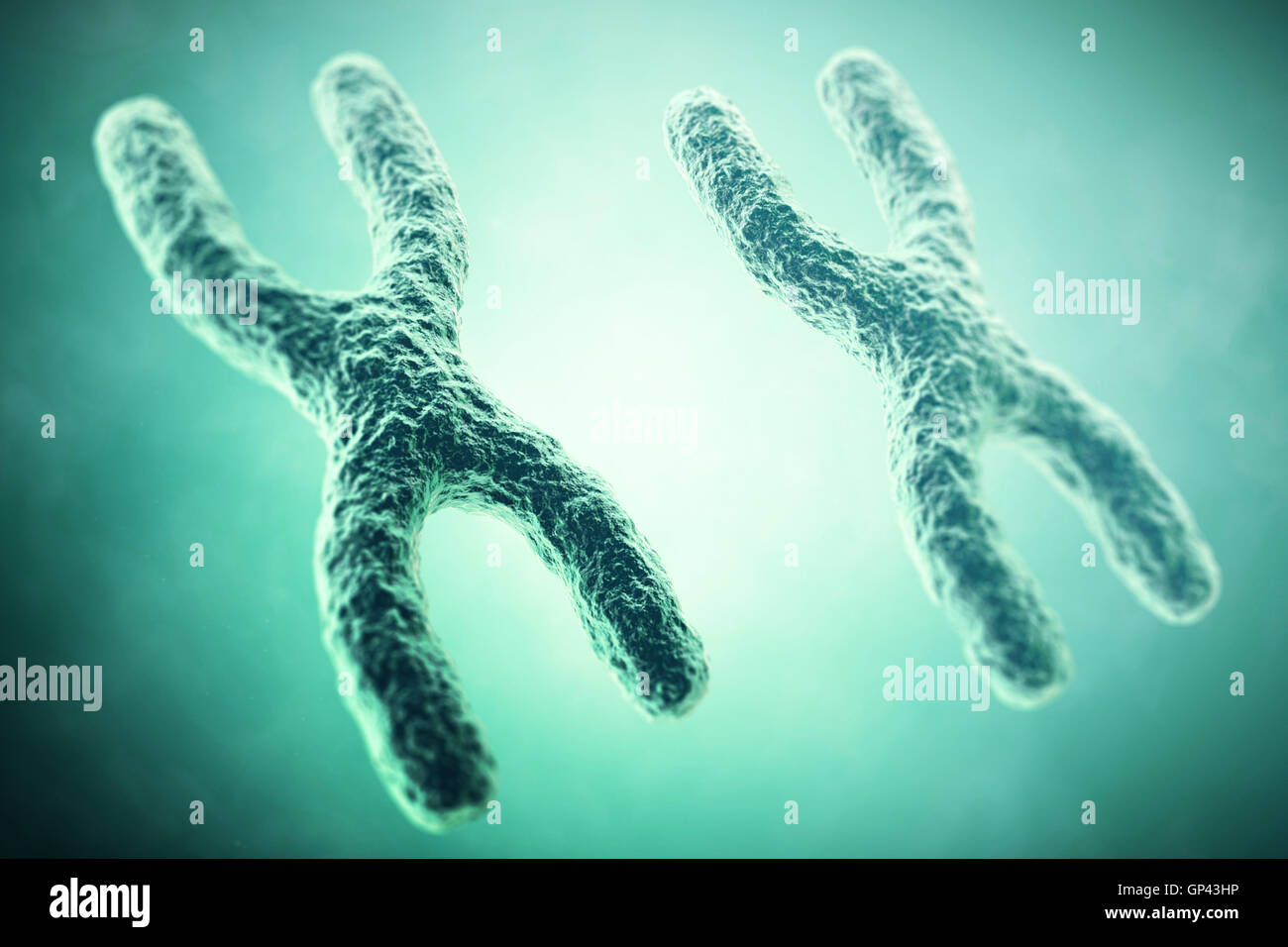 Chromosome XX au premier plan, un concept scientifique. 3d illustration Banque D'Images