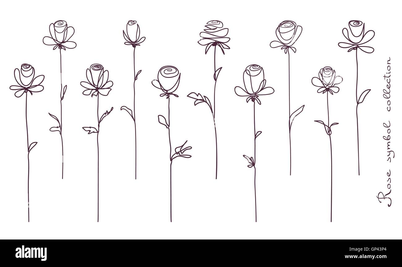 Roses. Collection de croquis de fleurs rose isolé sur fond blanc Illustration de Vecteur