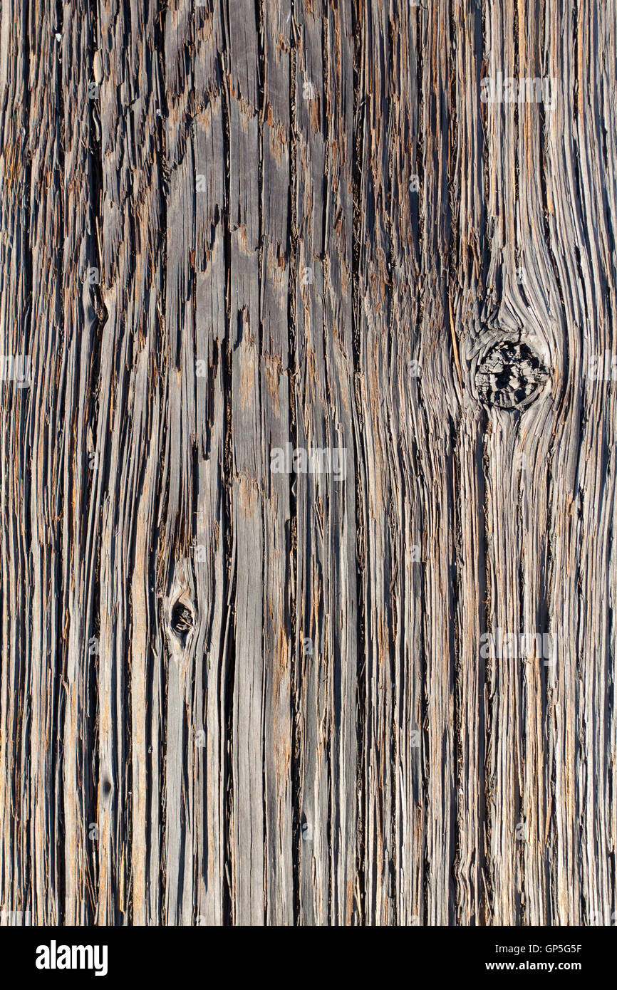 Résumé Wood Texture Banque D'Images