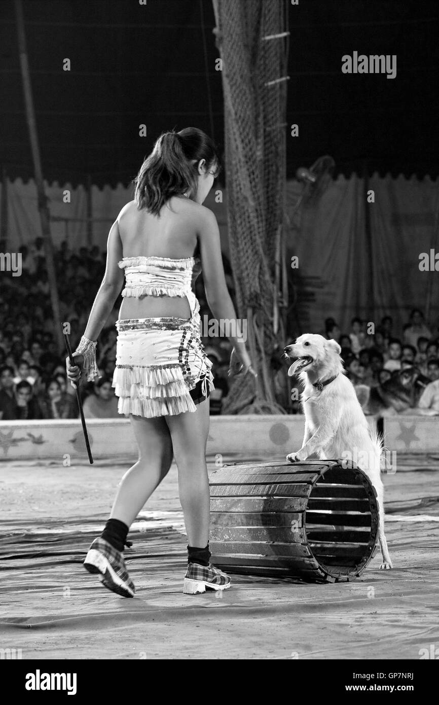 Femme avec chien dans le cirque, l'Inde, l'Asie Banque D'Images