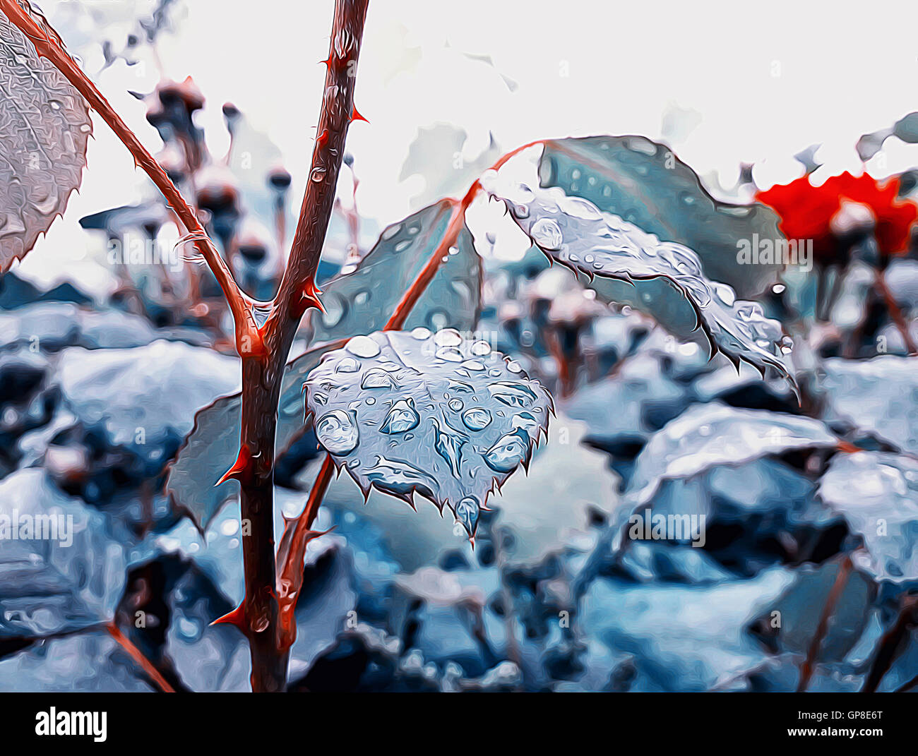 Abstract illustration de feuilles de rose après la pluie. Feuilles bleu merveilleux avec gouttes de pluie Banque D'Images