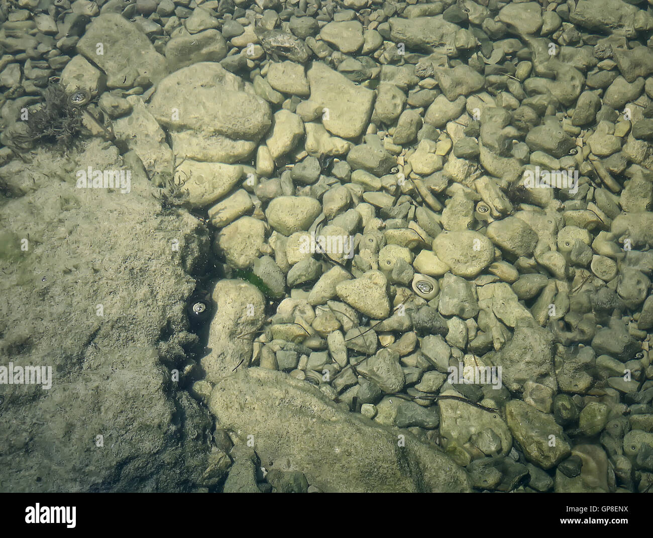 La texture de la lumière sous-marine sur un fond rocheux avec des morceaux de pierre Banque D'Images