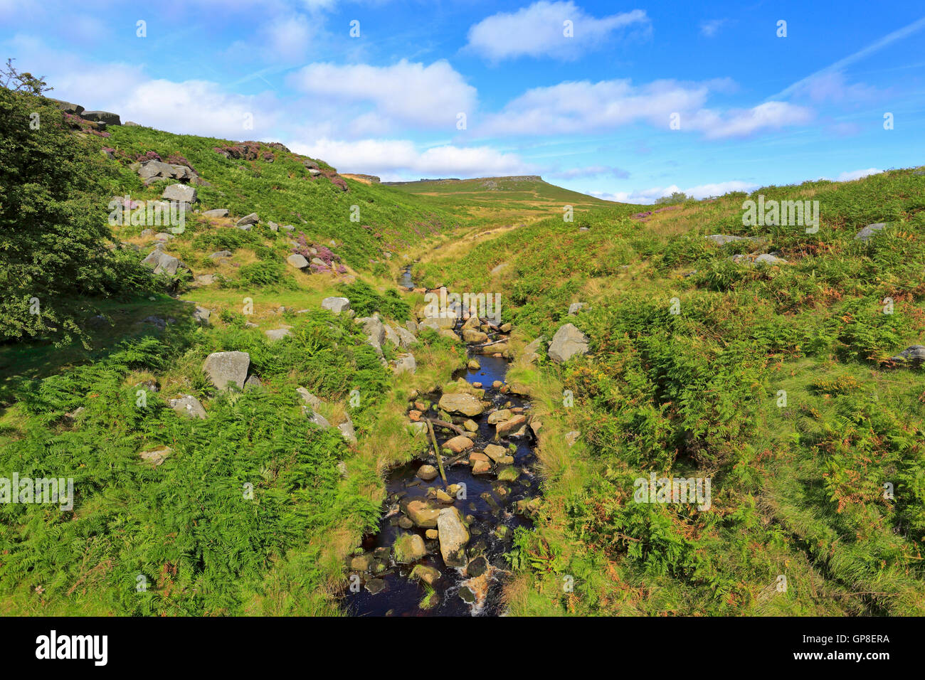 Burbage Brook et Carl lointain Wark sur Hathersage Moor, parc national de Peak District, Sheffield, South Yorkshire, Angleterre, Royaume-Uni. Banque D'Images