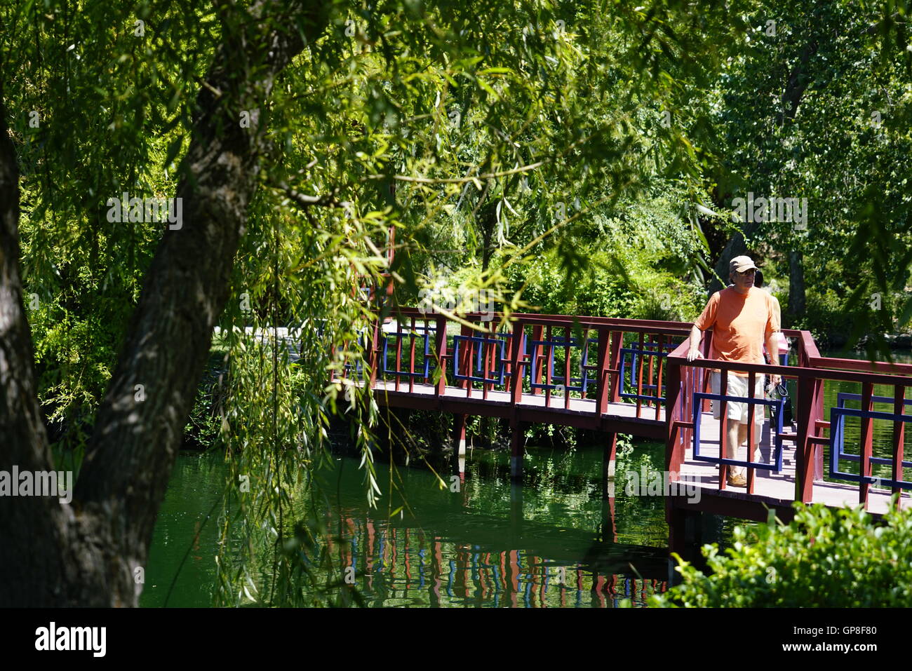 Jardin de Jade Lake et entreprise vinicole Chateau Montelena, Calistoga,California,USA Banque D'Images