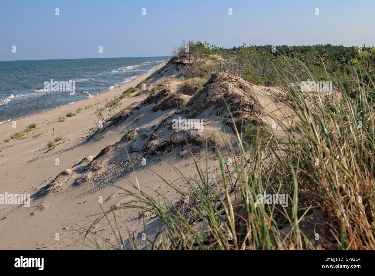 Czolpino, Pologne, septembre 2016 3ème journée chaude et ensoleillée à Czolpino dans le Parc National de Slowinski. les gens profiter du beau temps de marcher à la plage de la mer Baltique et le sable des dunes, et ameuhsante visiter les Czolpino phare. Credit : Michal Fludra/Alamy Live News Banque D'Images