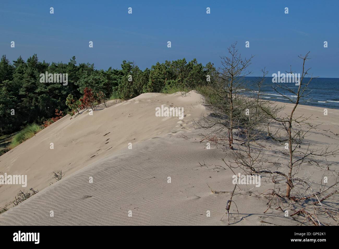 Czolpino, Pologne, septembre 2016 3ème journée chaude et ensoleillée à Czolpino dans le Parc National de Slowinski. les gens profiter du beau temps de marcher à la plage de la mer Baltique et le sable des dunes, et ameuhsante visiter les Czolpino phare. Credit : Michal Fludra/Alamy Live News Banque D'Images