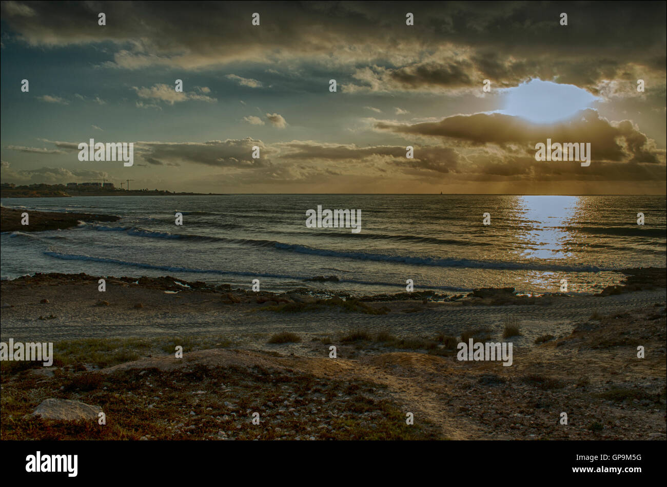 Au printemps Bois Bluebell Banque D'Images