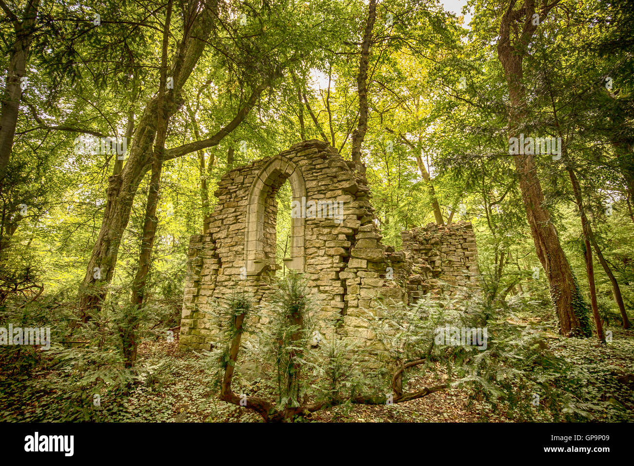 Ruines antiques, entourée de forêt Banque D'Images