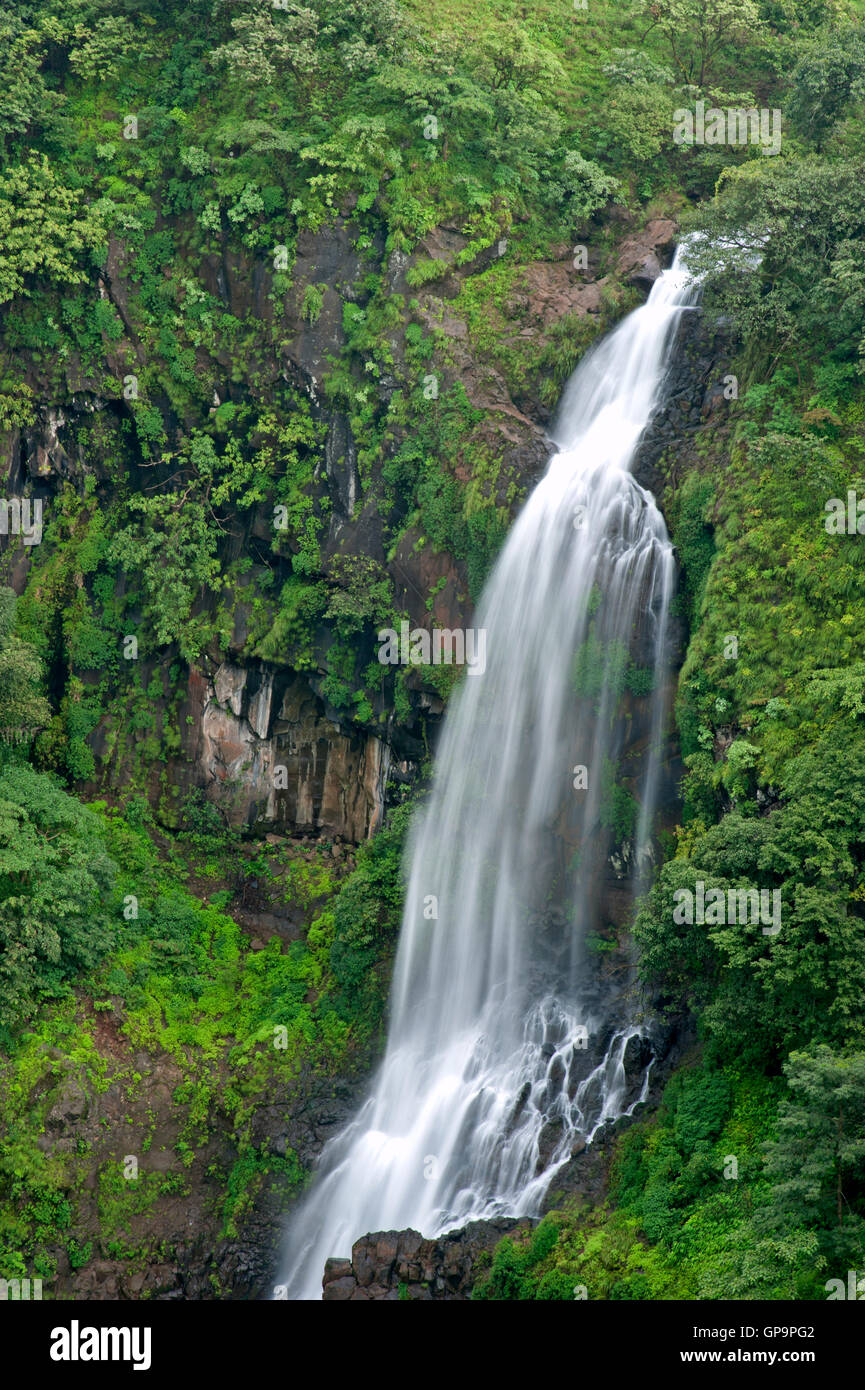 L'image d'Thoseghar en cascade Satara, Maharashtra, Western Ghats, mousson, Inde Banque D'Images