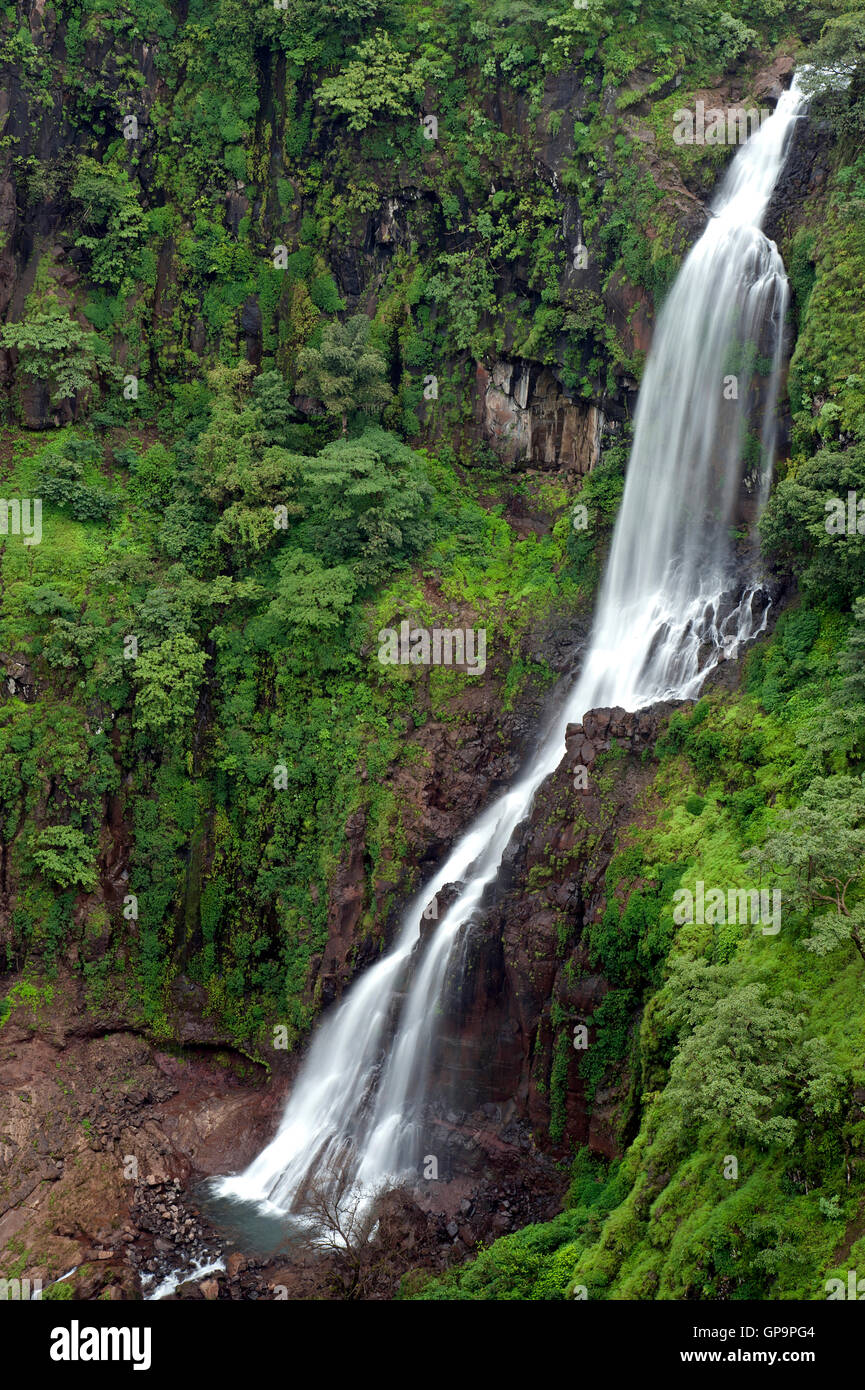 L'image d'Thoseghar en cascade Satara, Maharashtra, Western Ghats, mousson, Inde Banque D'Images