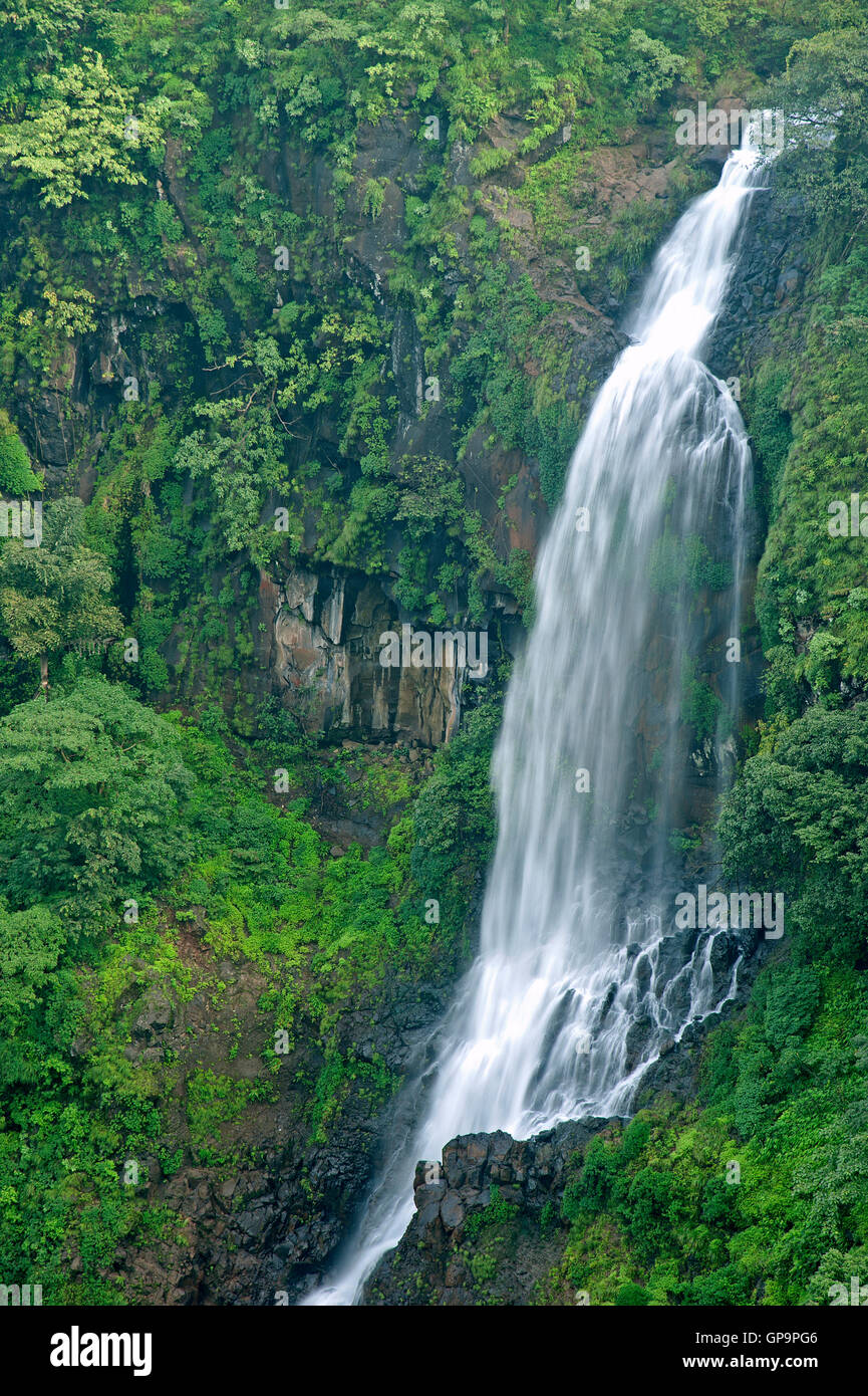 L'image d'Thoseghar en cascade Satara, Maharashtra, Western Ghats, mousson, Inde Banque D'Images