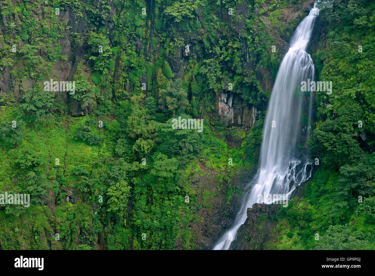 L'image d'Thoseghar en cascade Satara, Maharashtra, Western Ghats, mousson, Inde Banque D'Images