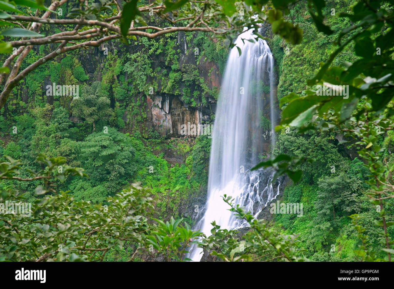 L'image d'Thoseghar en cascade Satara, Maharashtra, Western Ghats, mousson, Inde Banque D'Images