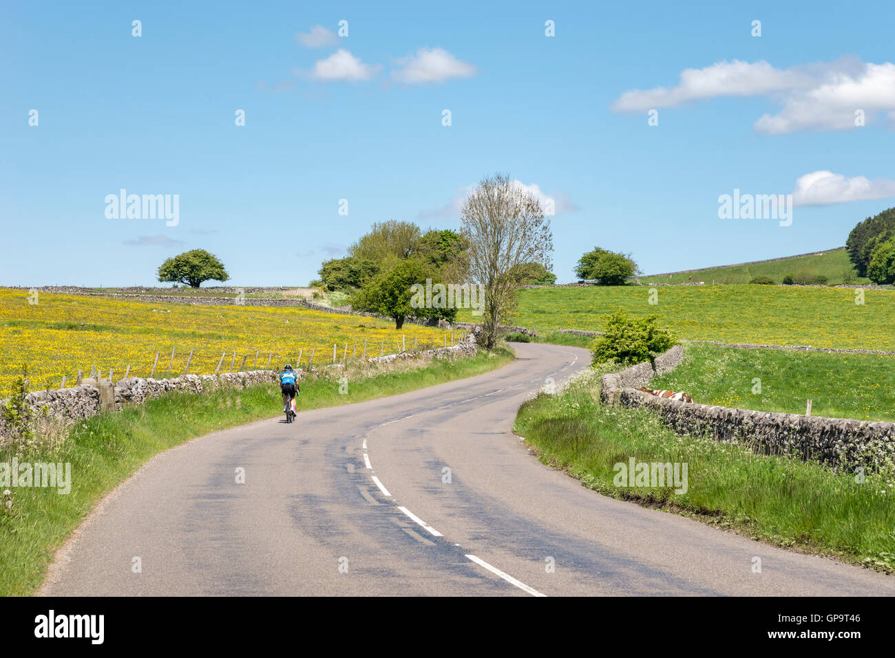 Cycliste sur une route de campagne sur une belle journée d'été dans la campagne anglaise. Banque D'Images