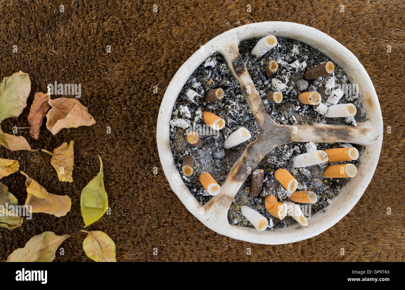 Ash tray and cigarette Banque de photographies et d'images à haute  résolution - Alamy