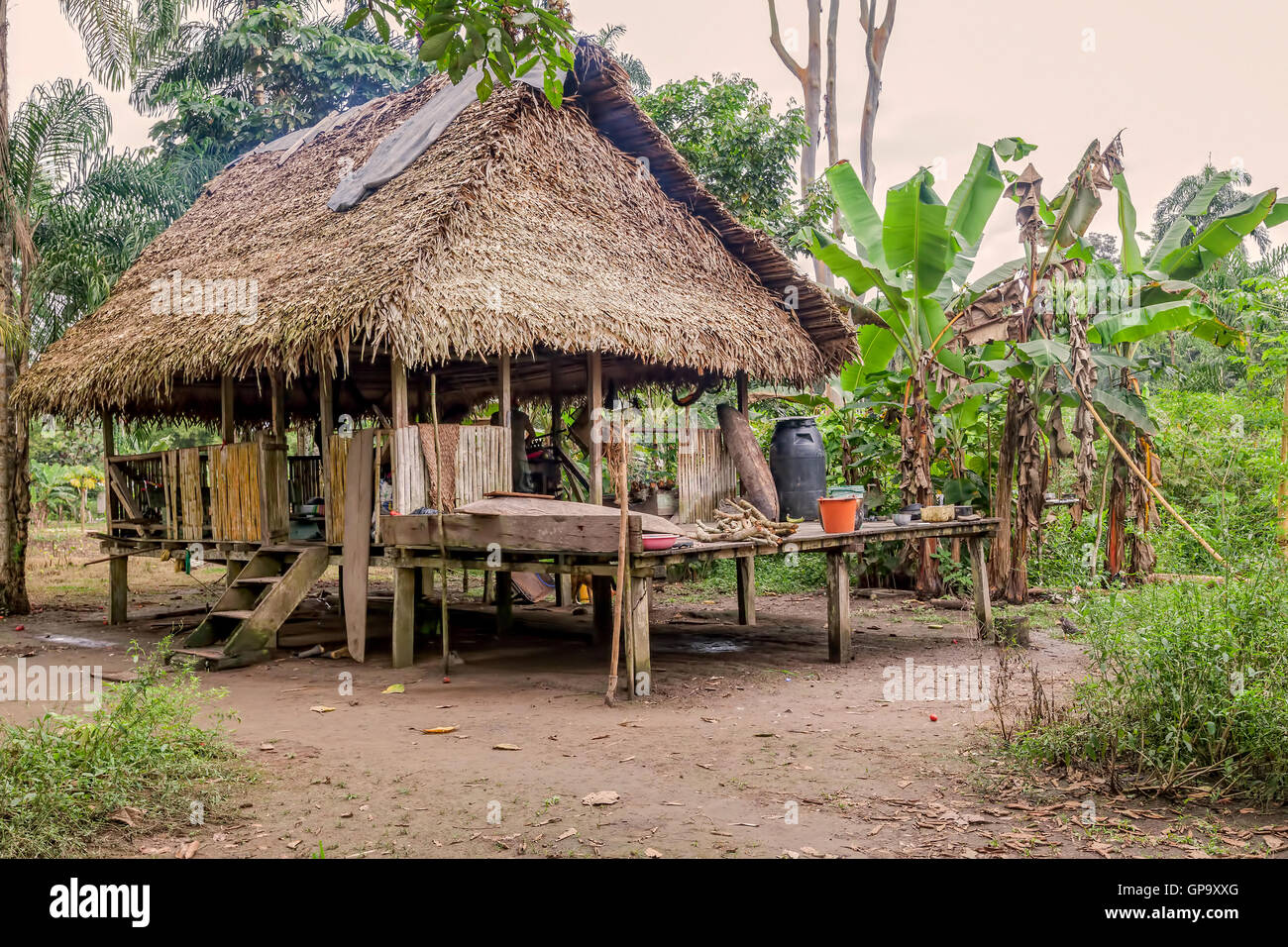 Maison traditionnelle locale dans la province de Sucumbios, réserve faunique de Cuyabeno, Equateur Banque D'Images