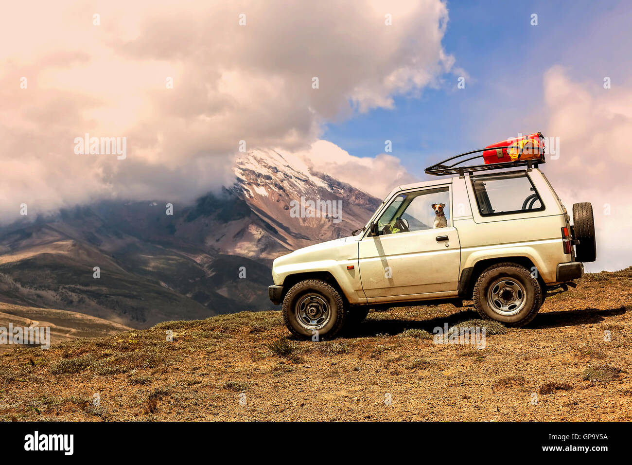 Happy Jack Russell Terrier Dog voyages dans les Andes dans une vieille Jeep blanche Banque D'Images