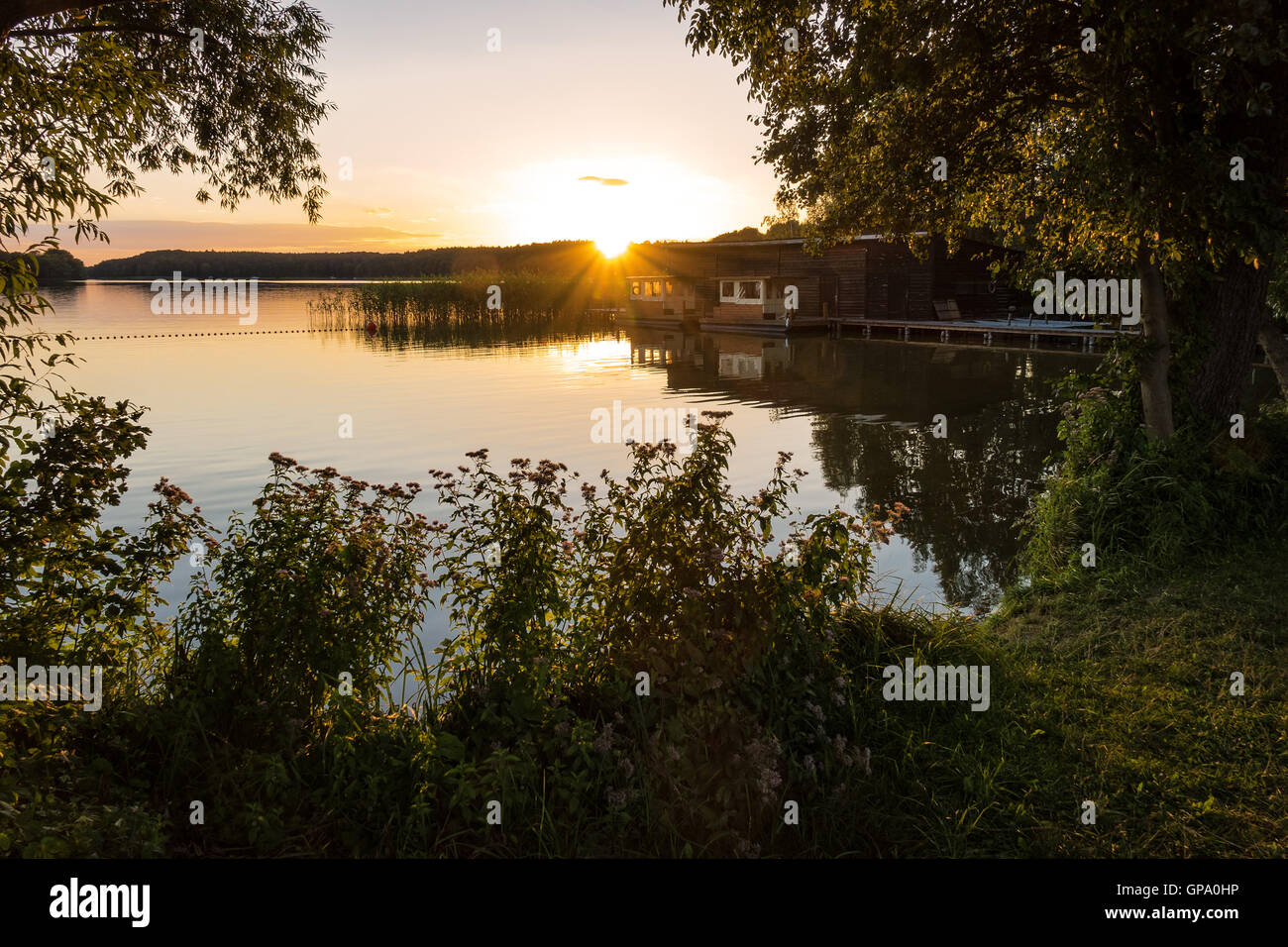 Paysage sur un lac d'arbres et de roseaux et boatshouse Banque D'Images