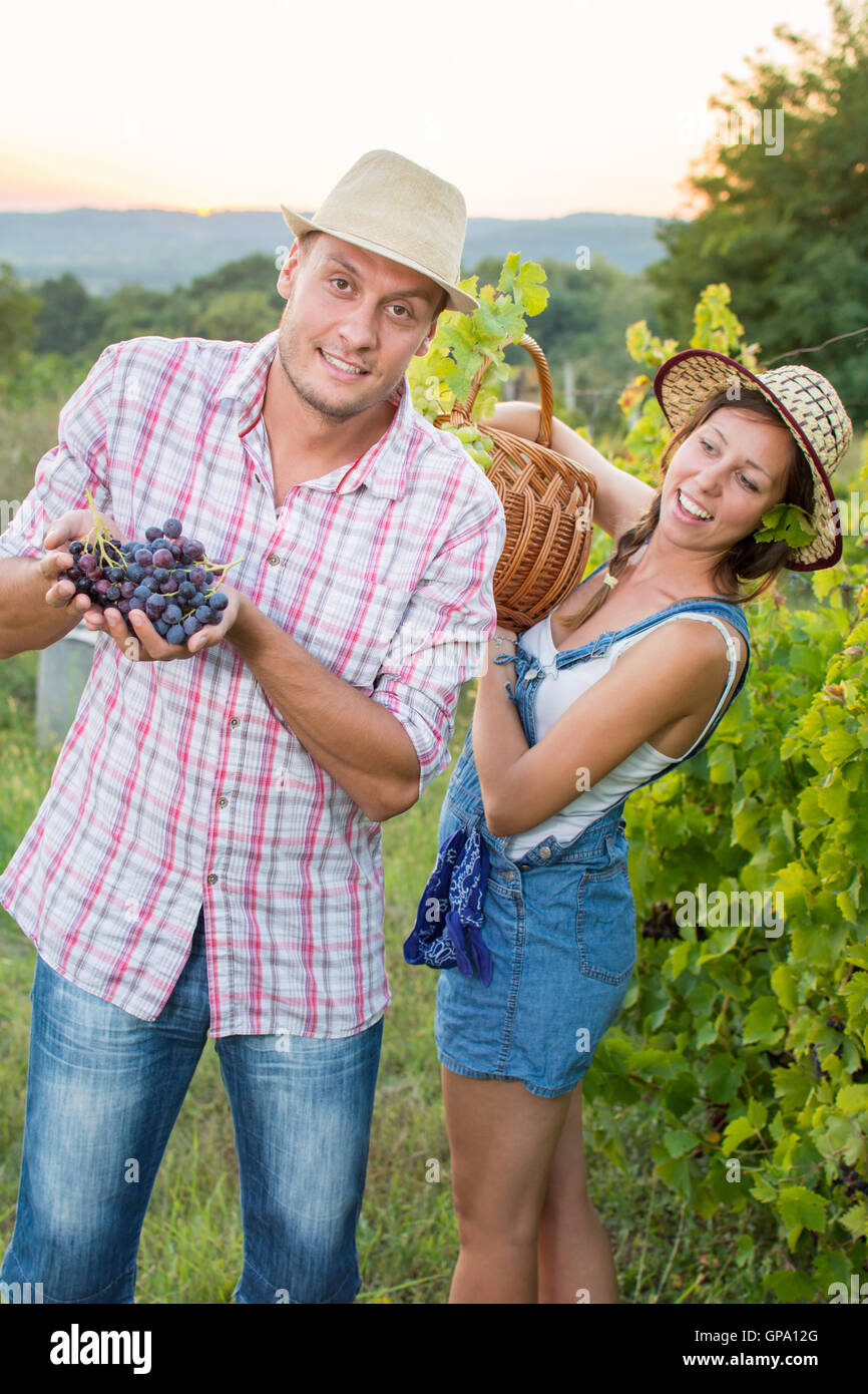Couple dans un vignoble tenant un panier en osier. Vendanges Banque D'Images