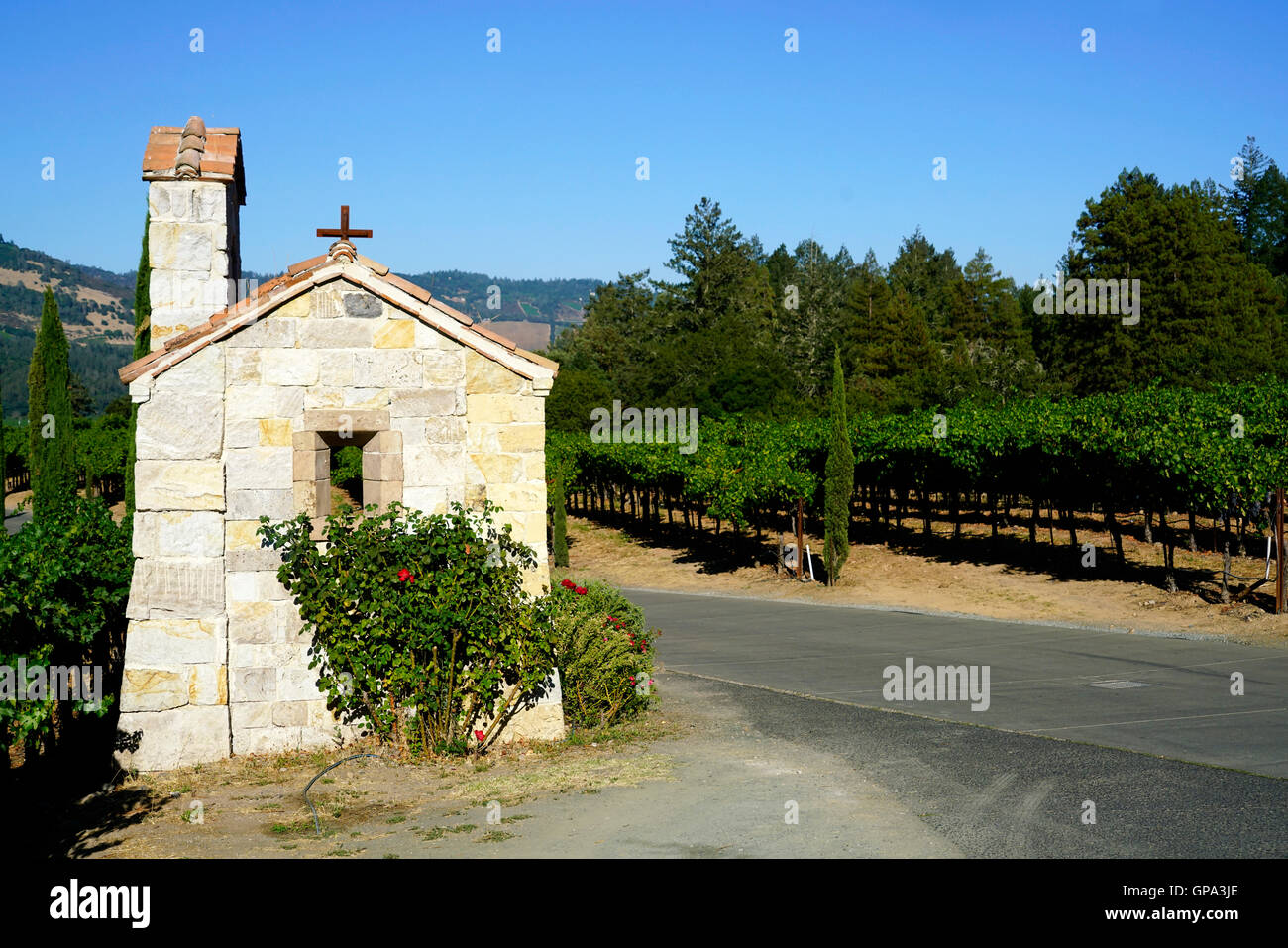 Petite chapelle en pierre et vigne de Castello di Amorosa Winery.Calistoga Napa Valley, Californie, USA. Banque D'Images