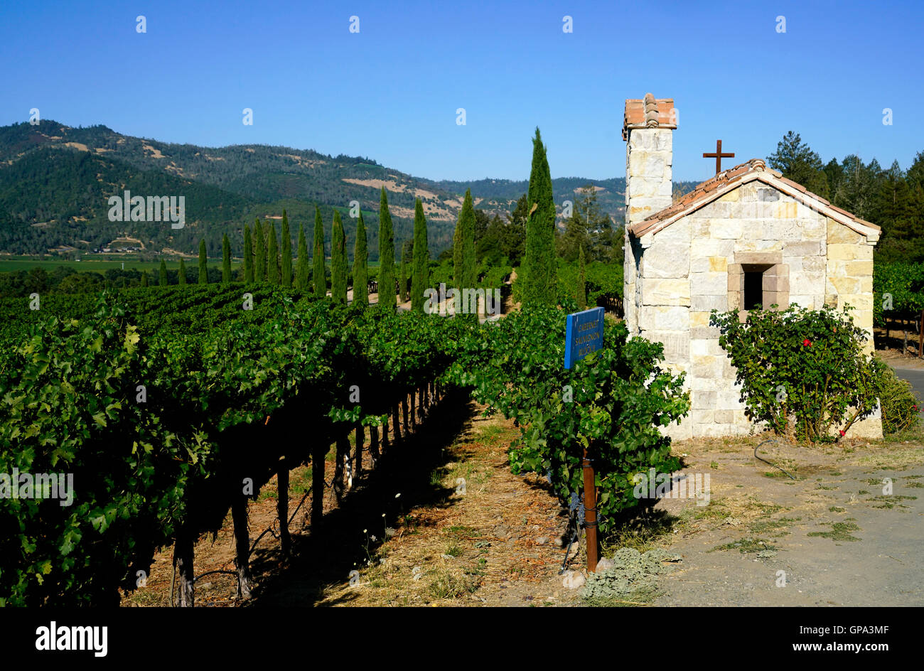 Petite chapelle en pierre et vigne de Castello di Amorosa Winery.Calistoga Napa Valley, Californie, USA. Banque D'Images