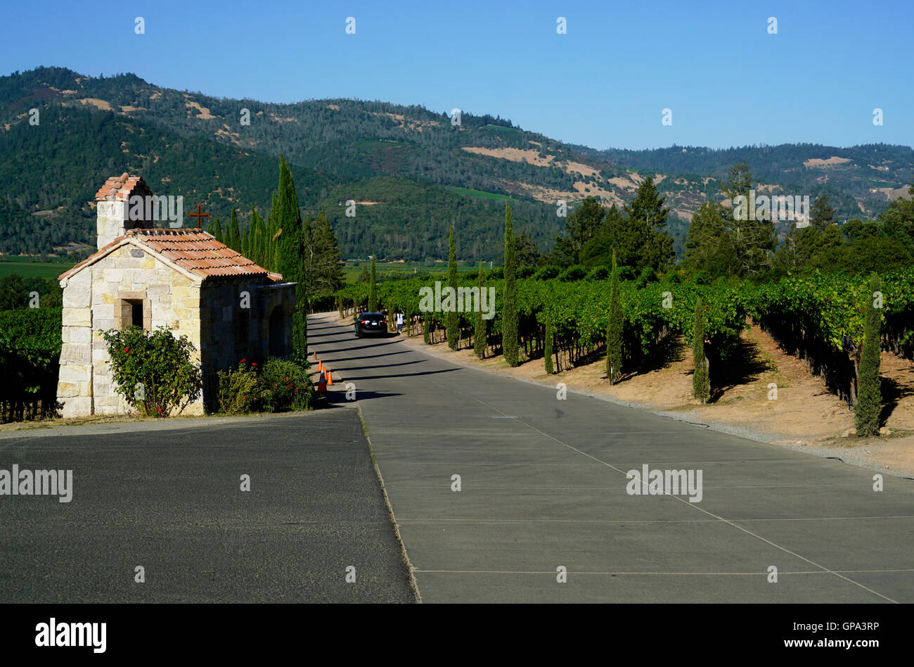 Petite chapelle en pierre et vigne de Castello di Amorosa Winery.Calistoga Napa Valley, Californie, USA. Banque D'Images