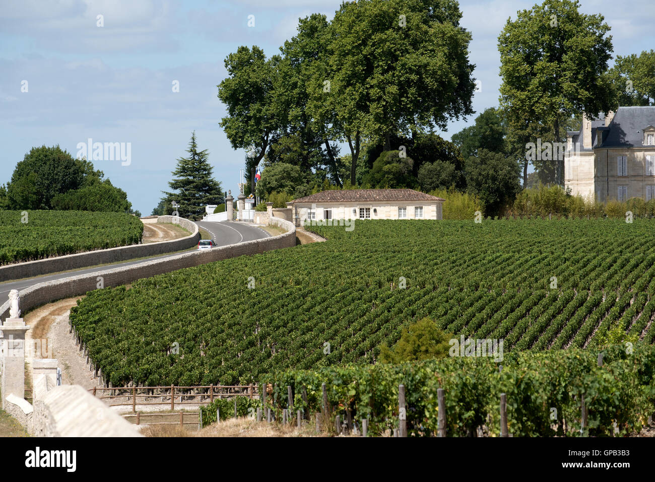 Région viticole de Pauillac France - vignes et vignobles de Pauillac une zone de production de vin de la région de Bordeaux France Banque D'Images