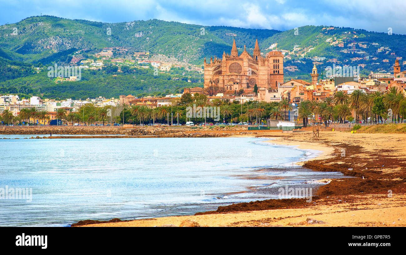 Vue panoramique sur la plage de Palma avec La Seu cathedral en arrière-plan, Mallorca, Espagne Banque D'Images