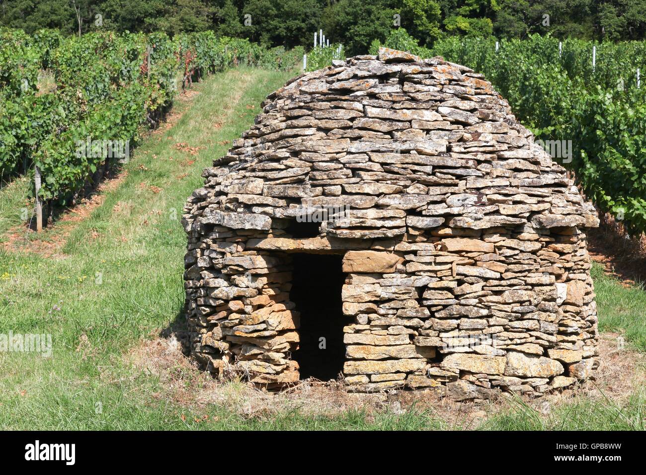 Vieille cabane en pierre typiques et dans les vignobles du Beaujolais, France Banque D'Images