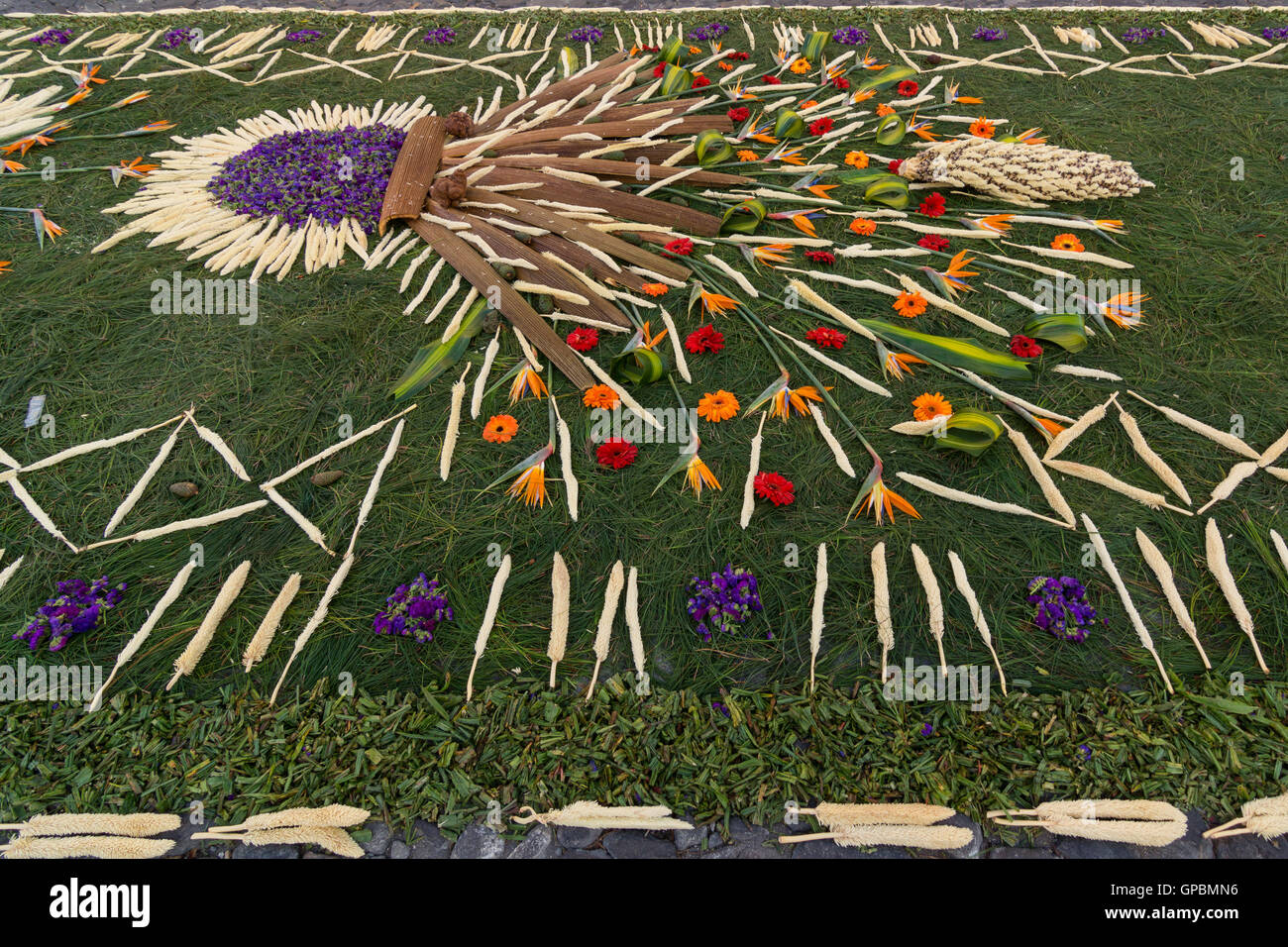 La récolte de fleurs et d'afficher sur la Plaza Mayor, Antigua Guatemala (Guatemala) Banque D'Images
