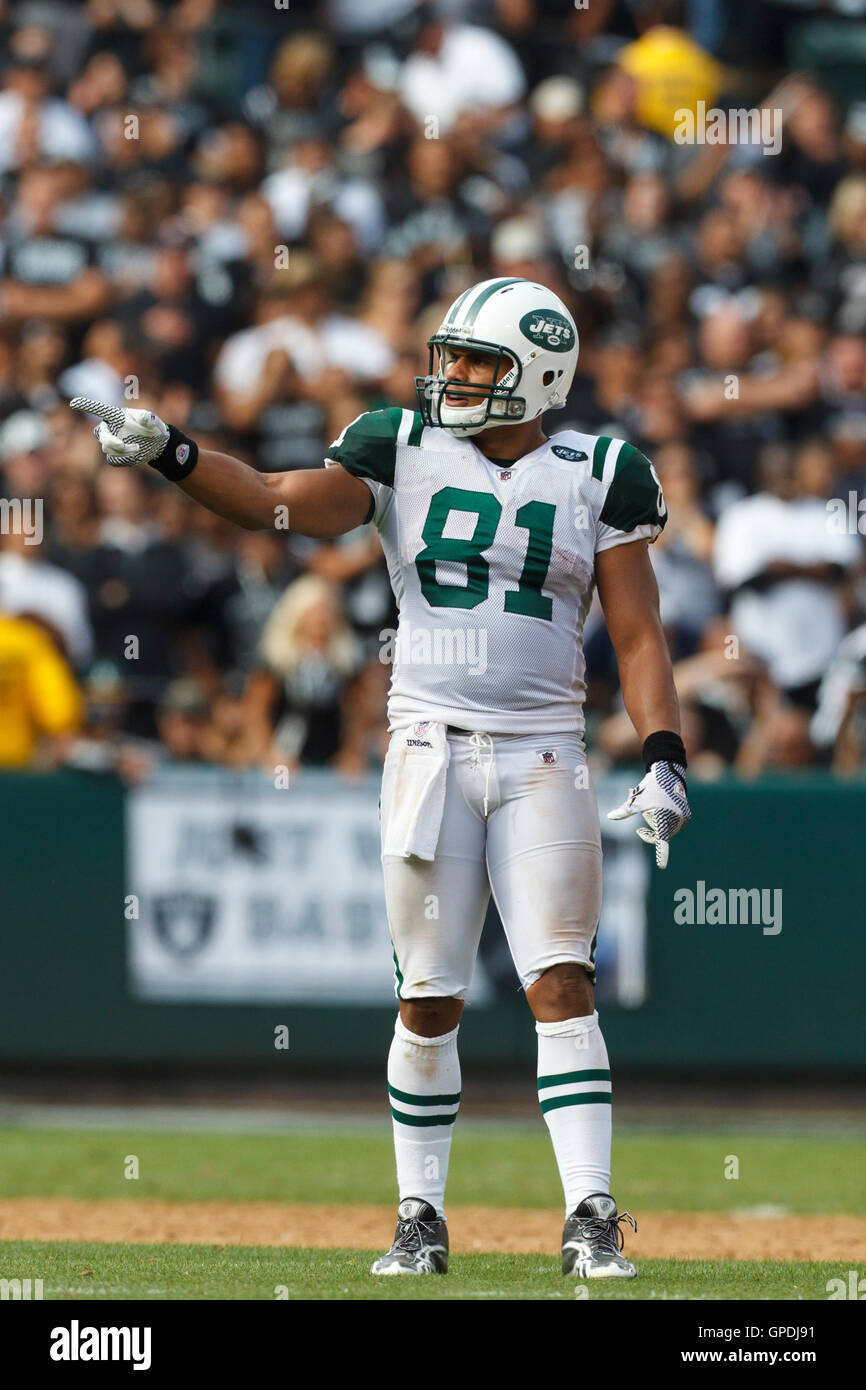 Sep 25, 2011 ; Oakland, CA, USA ; new york jets tight end dustin Keller (81) s'aligne pour une pièce contre les Oakland Raiders au cours du quatrième trimestre à o.co coliseum. oakland défait new york 34-24. Banque D'Images