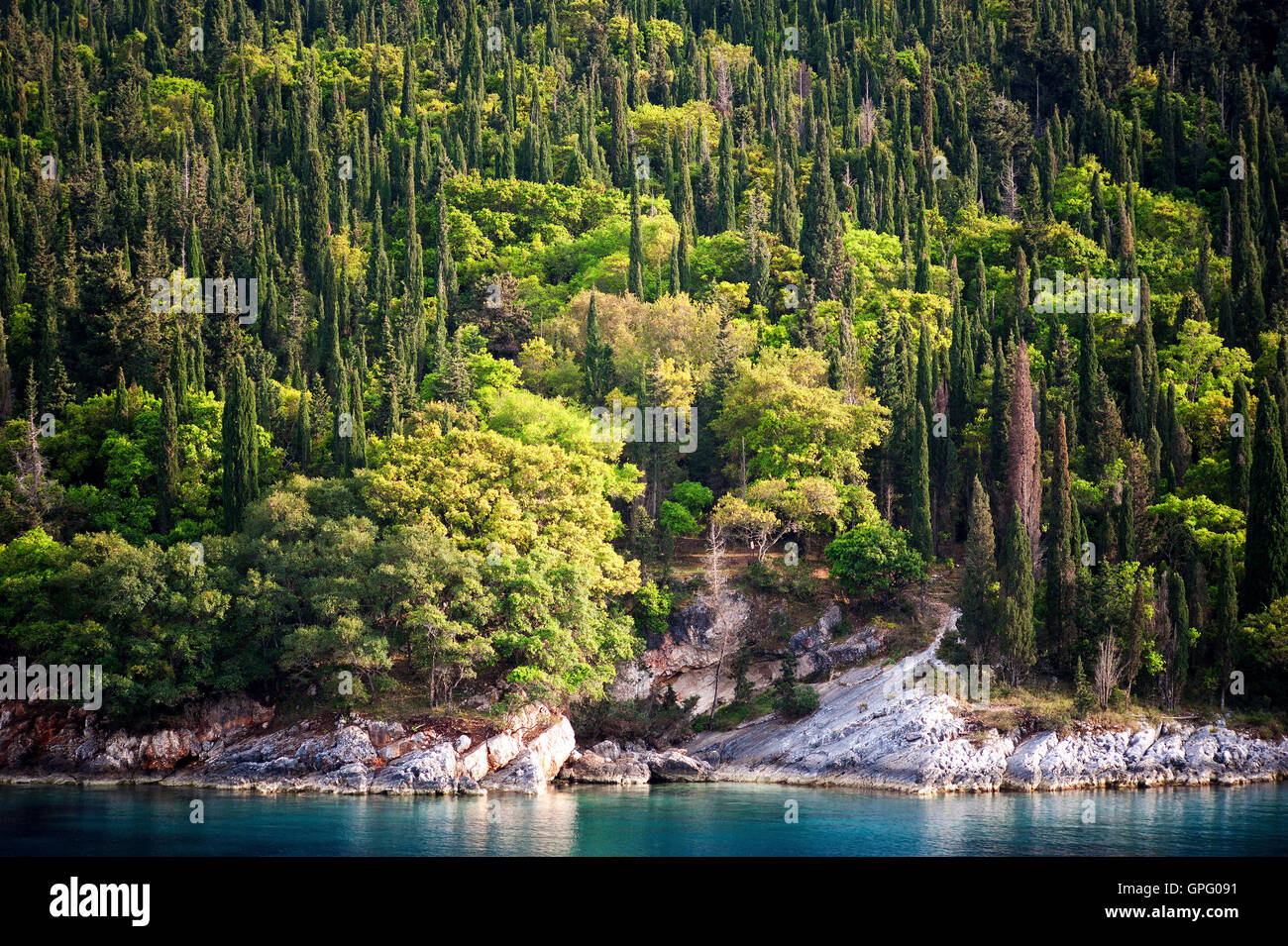 L'île de Kefalonia, Grèce : une vue de cyprès méditerranéens bordant les eaux turquoise de la mer Ionienne . Banque D'Images