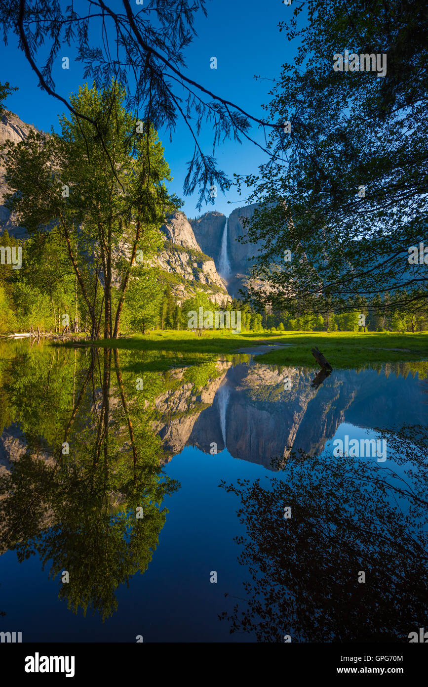 Yosemite Falls réflexion dans la Merced River au lever du soleil National Park, California Banque D'Images