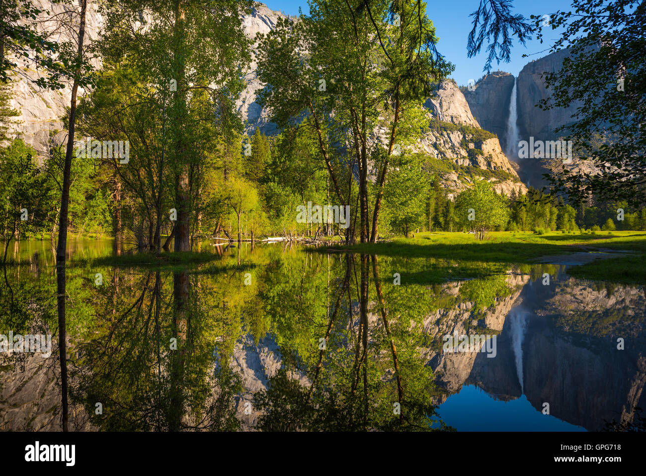 Yosemite Falls réflexion dans la Merced River au lever du soleil National Park, California Banque D'Images