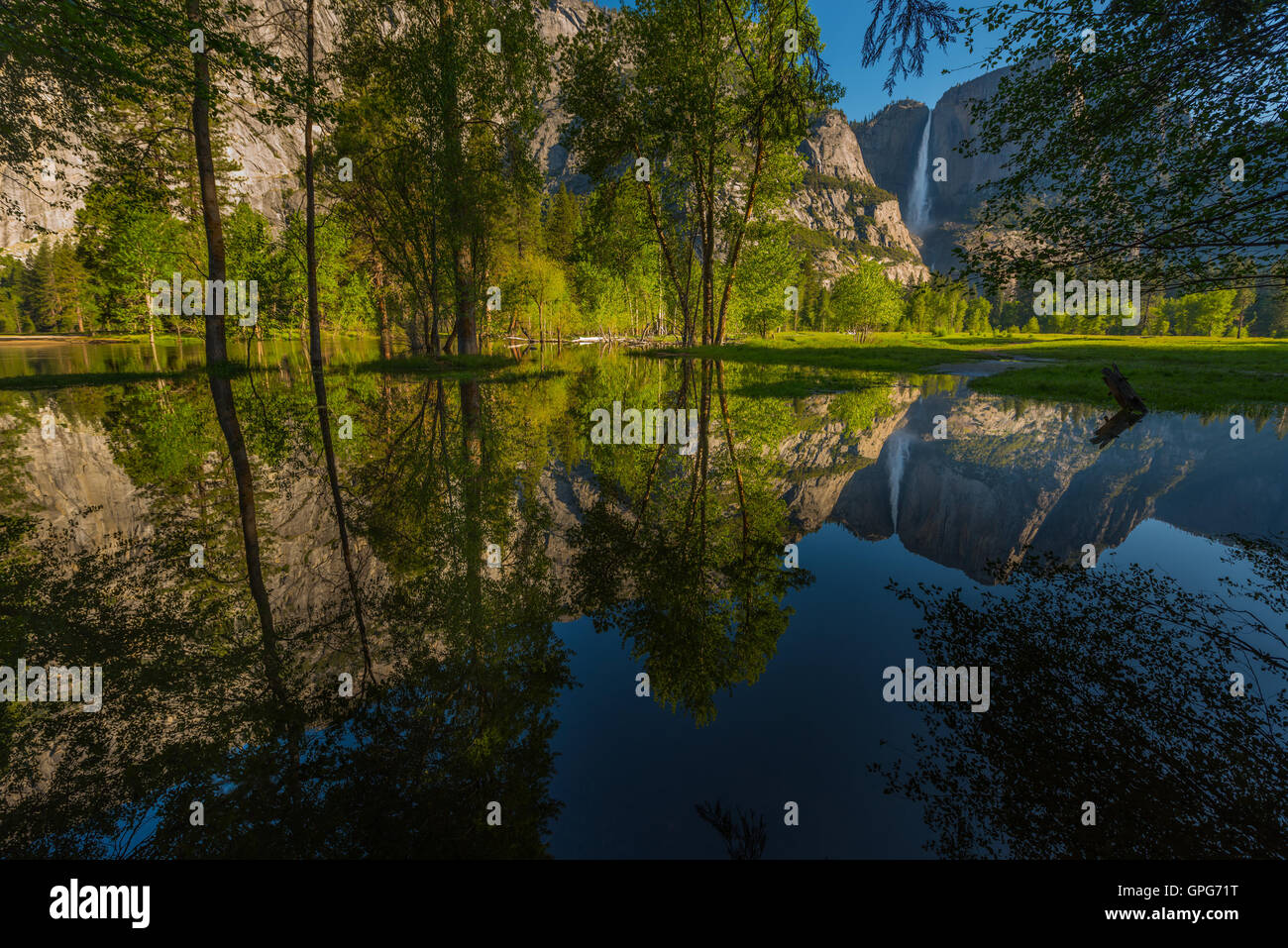 Yosemite Falls réflexion dans la Merced River au lever du soleil National Park, California Banque D'Images