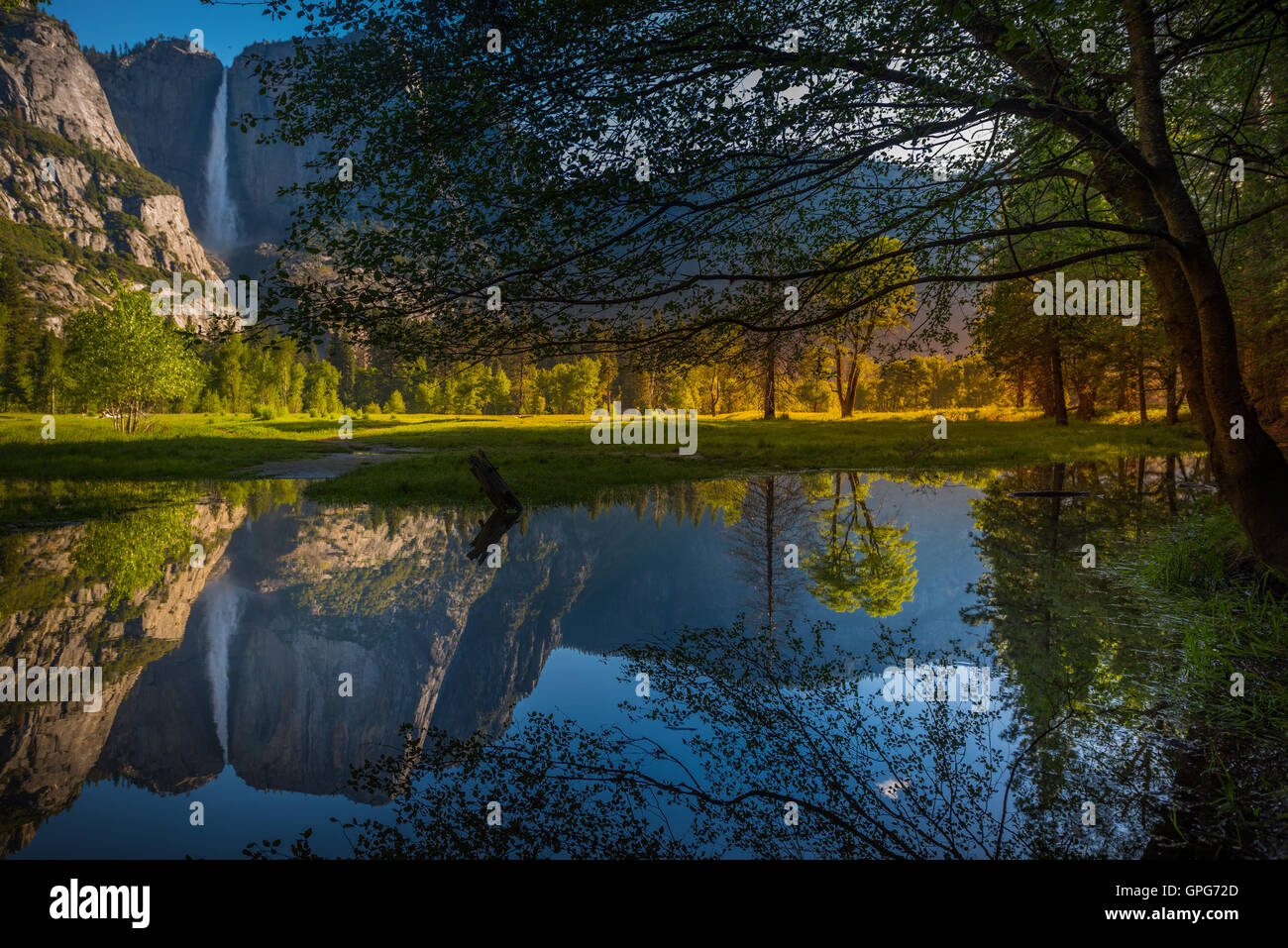 Yosemite Falls réflexion dans la Merced River au lever du soleil National Park, California Banque D'Images