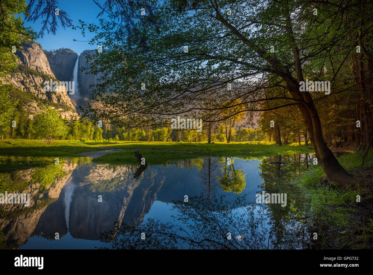 Yosemite Falls réflexion dans la Merced River au lever du soleil National Park, California Banque D'Images
