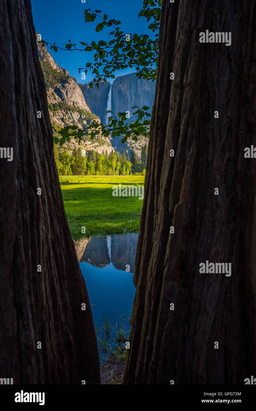 Yosemite Falls réflexion dans la Merced River au lever du soleil, le Parc National Naturel de la Californie ossature bois Banque D'Images
