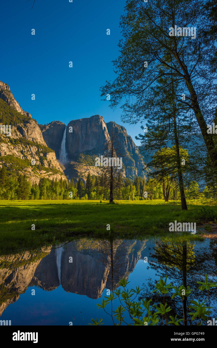 Yosemite Falls réflexion dans la Merced River au lever du soleil National Park, California Banque D'Images