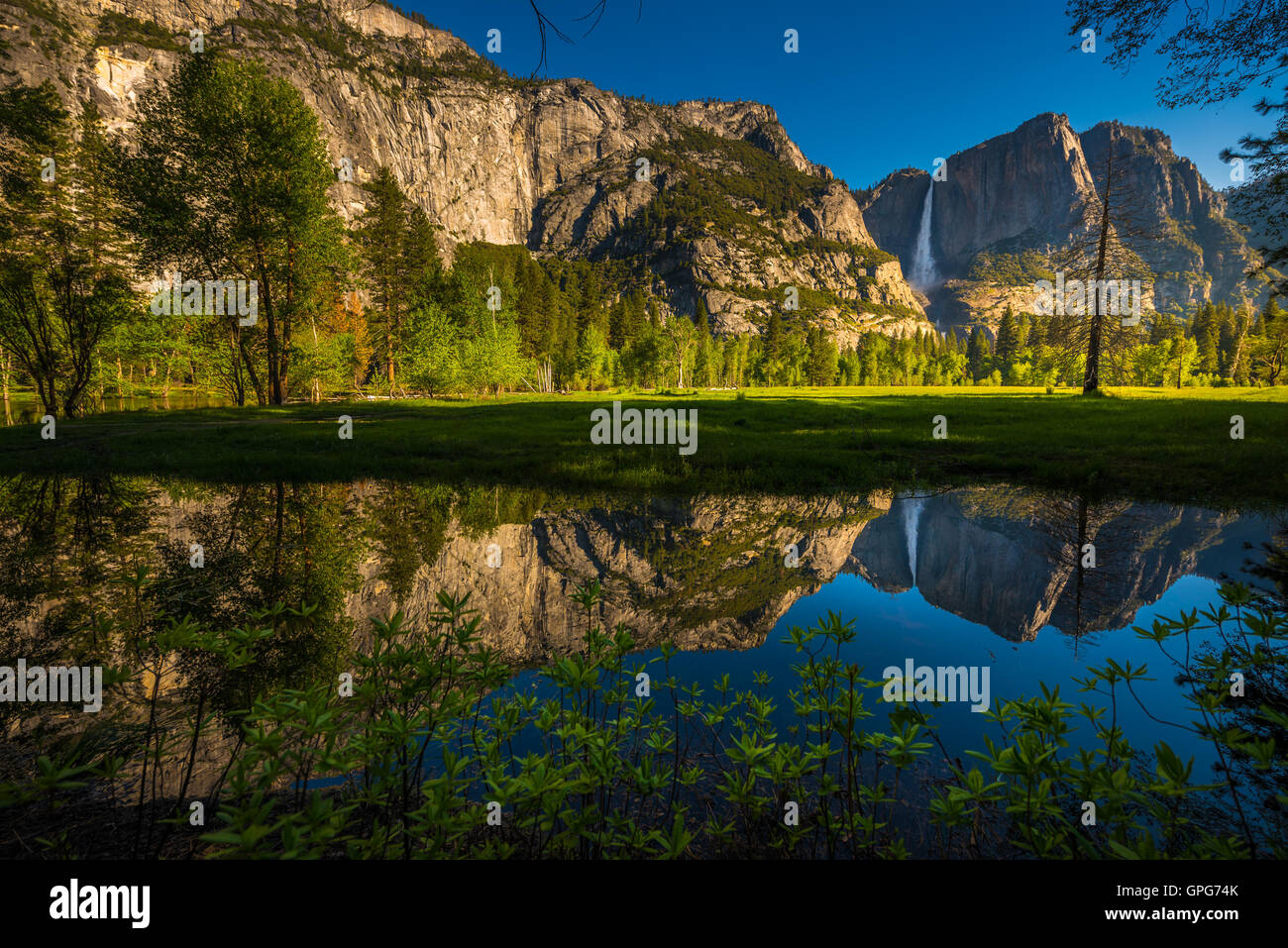 Yosemite Falls réflexion dans la Merced River au lever du soleil National Park, California Banque D'Images